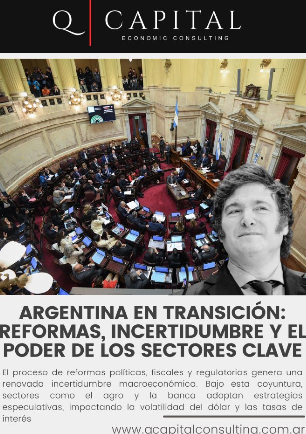 Argentina en Transición 