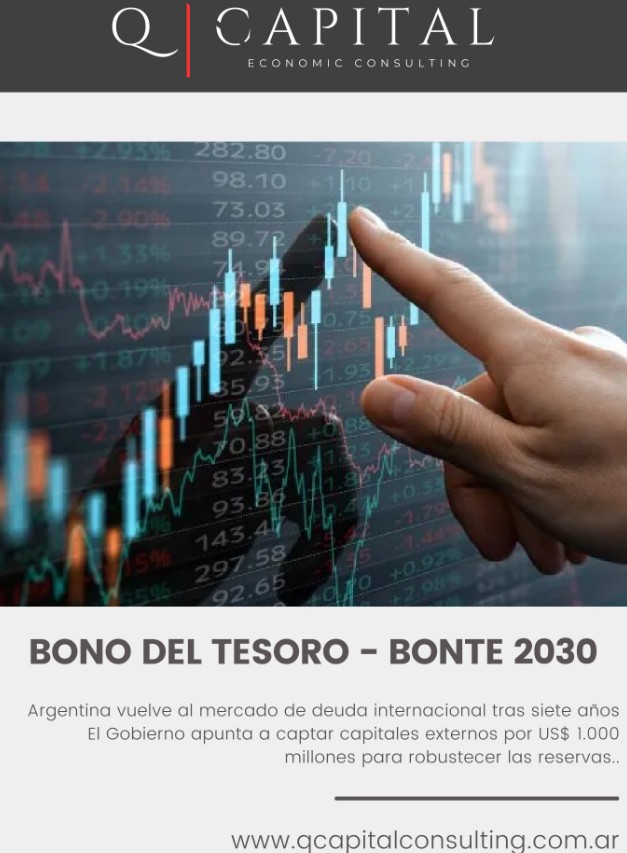 Bono del tesoro - BONTE 2030