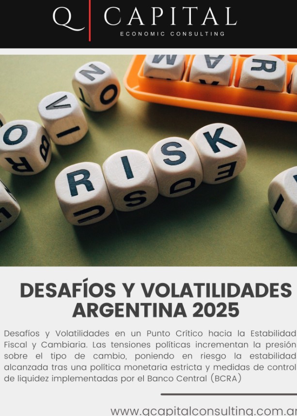 Desafíos y Volatilidades Argentina 2025