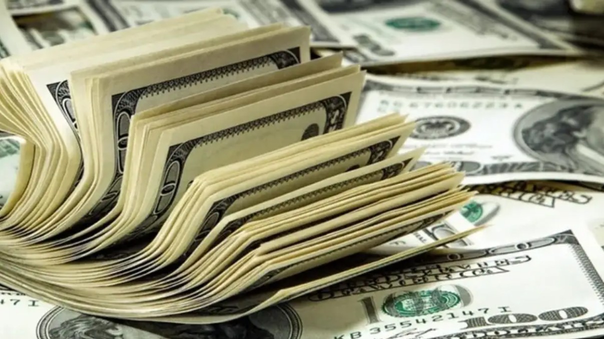 Dólar a $1.800: Nota Canal E - Editorial Perfil