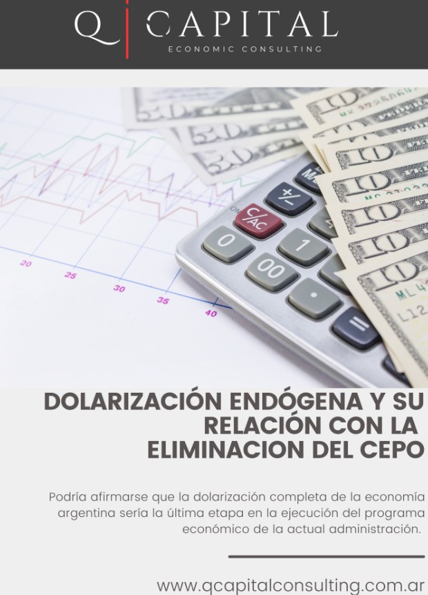 Dolarización endógena y su relación en la eliminación del cepo cambiario