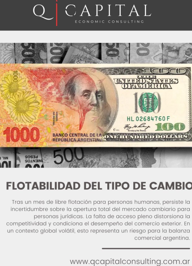 Flotabilidad del tipo de cambio