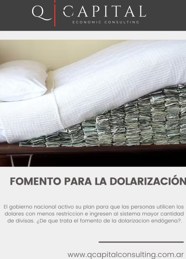 Fomento para una mayor circulación e ingreso de dólares al sistema