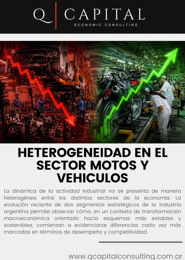 Heterogeneidad en el sector Motos y Vehículos
