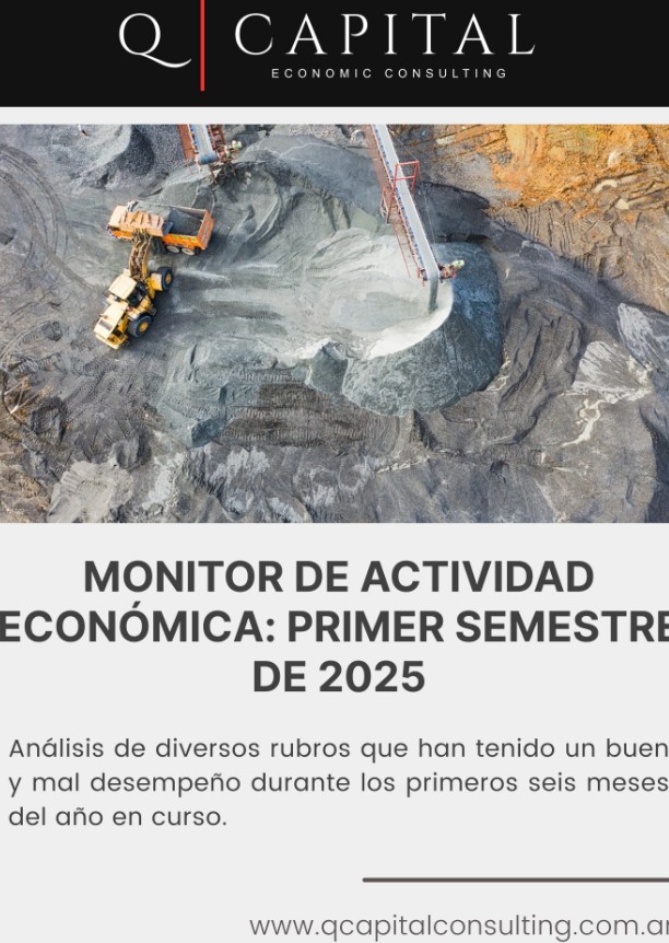 En el análisis del primer semestre de 2025, se observa un escenario económico mixto en Argentina. 